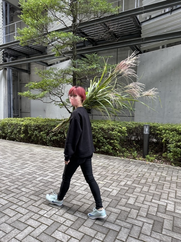 2022年のラボ展用にススキを刈ってきたパルパル