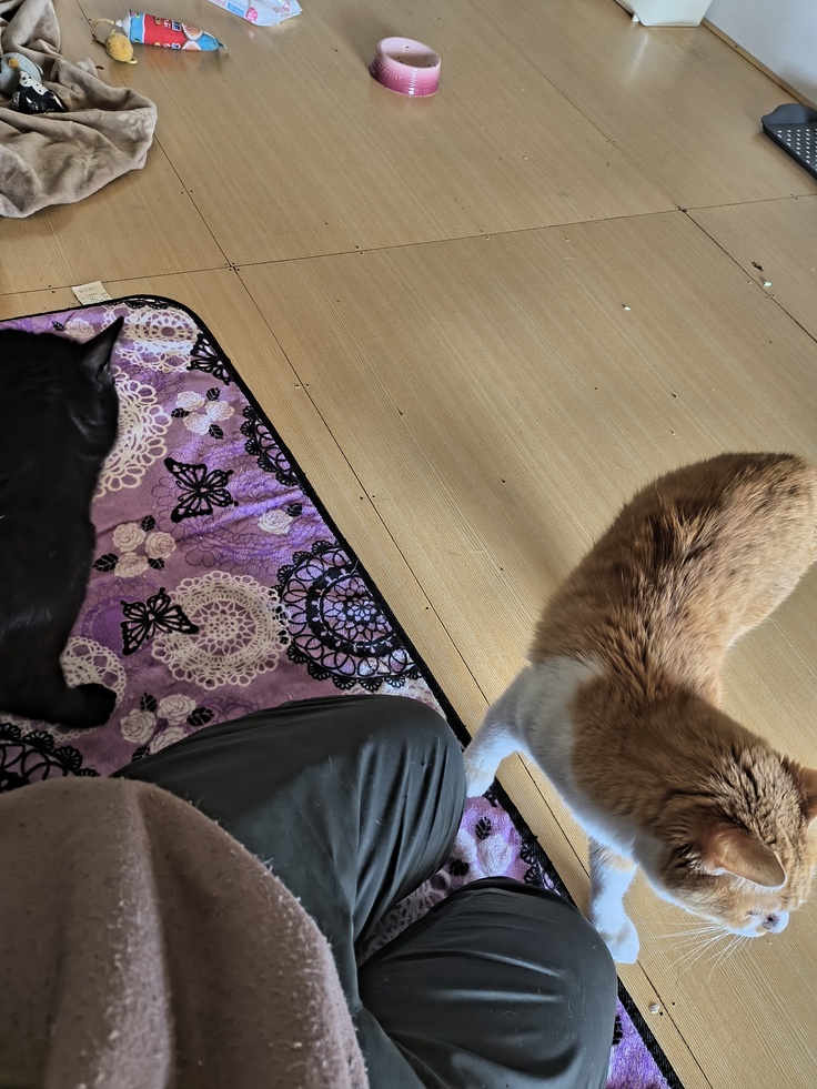 お世話しながら