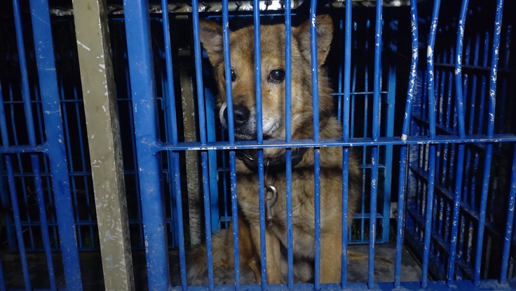 2025-04-15 春雨 (2).JPG