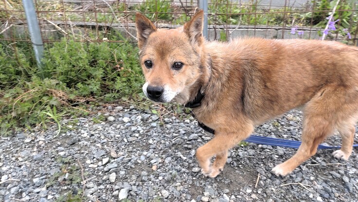 2025-04-15 春雨 (6).JPG