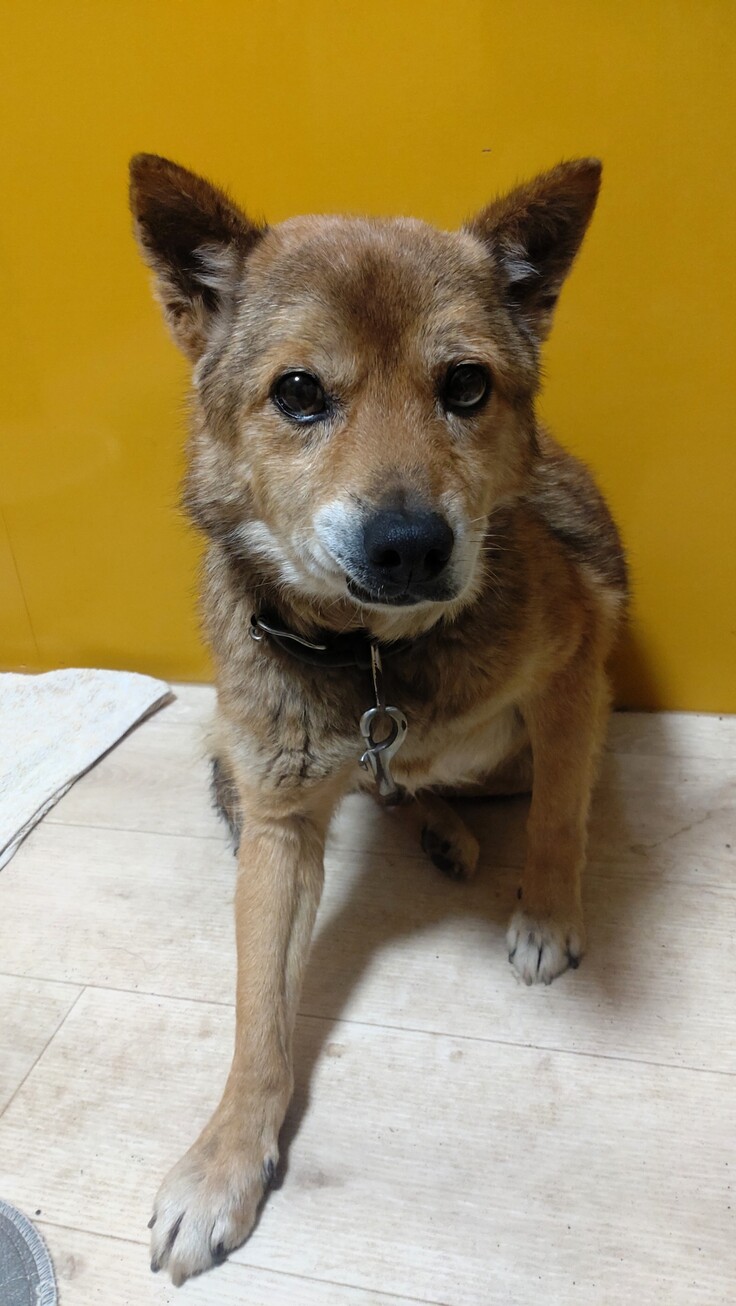 2025-04-15 春雨 (10).JPG