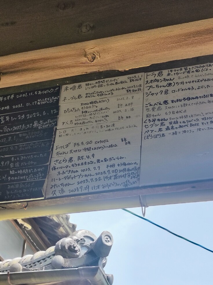 終の住処看板裏