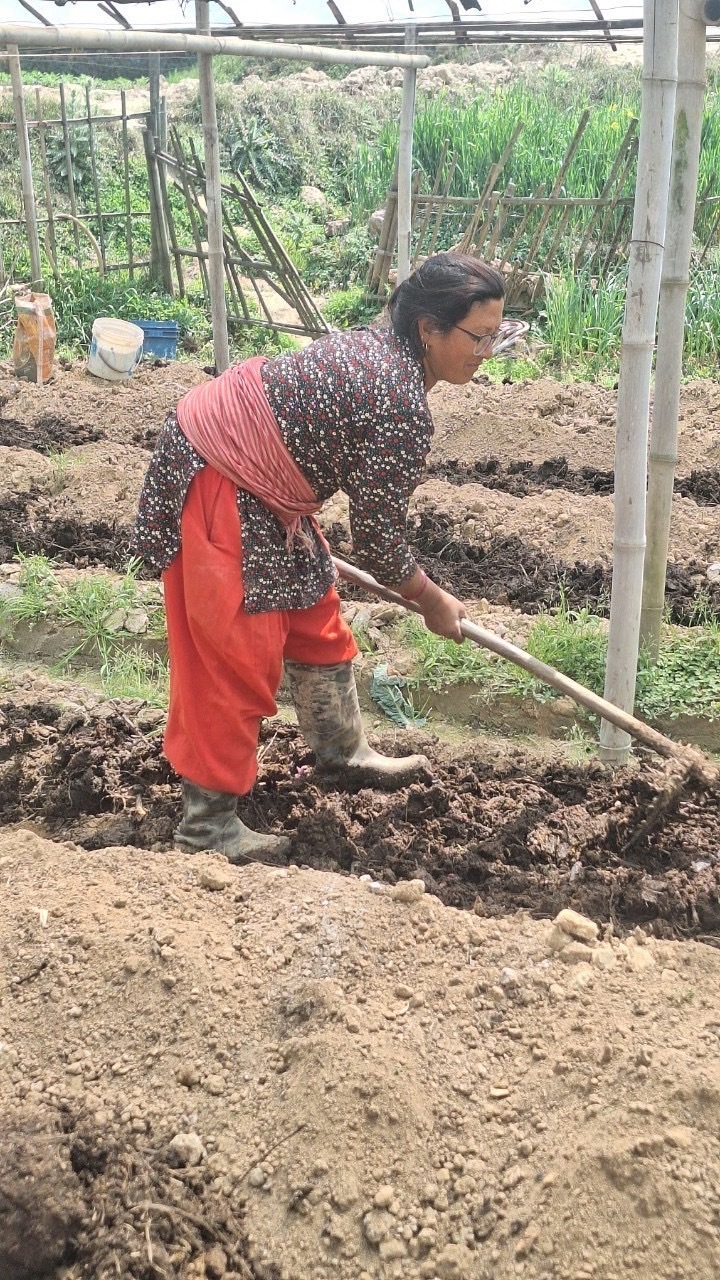 畑でお会いした農家さんたち