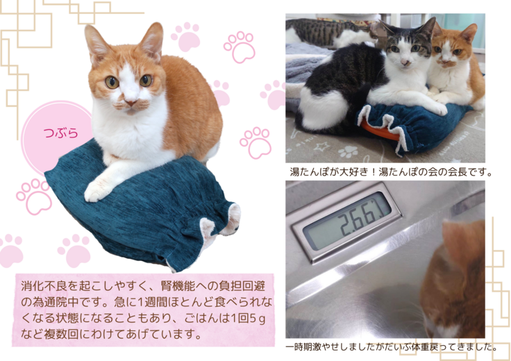 湯たんぽが大好き！湯たんぽの会の会長です。 (2).png