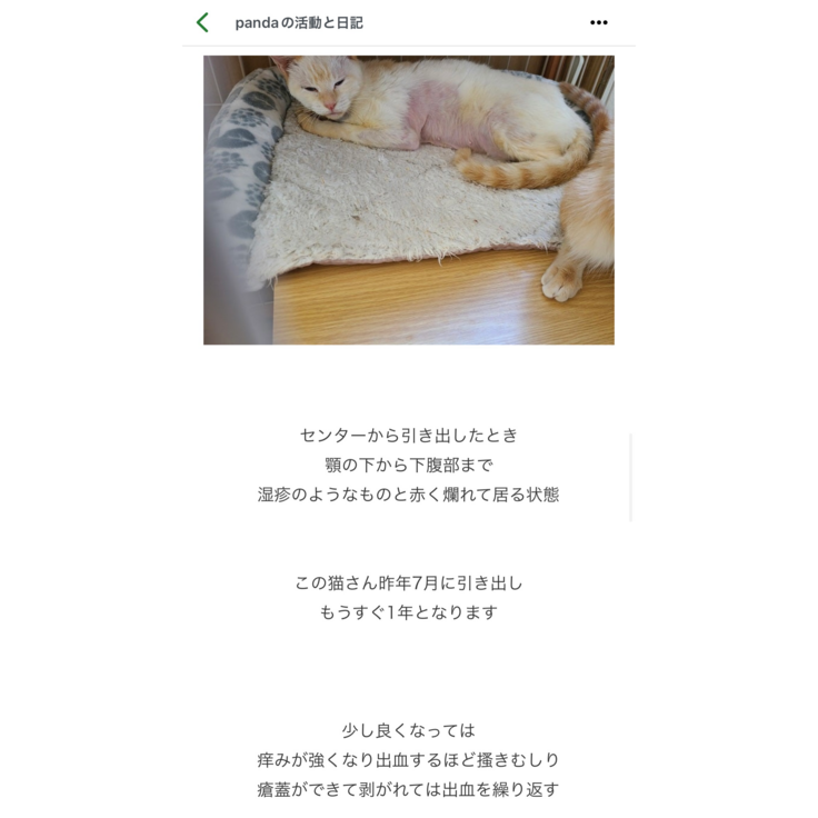 2022年 代表ブログより