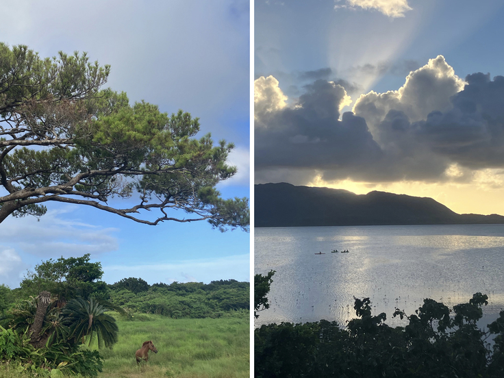 小浜島での取材写真3