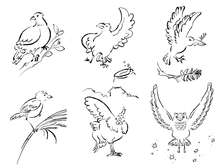 『神様とムッカラの鳥』に登場する6匹の鳥のスケッチ