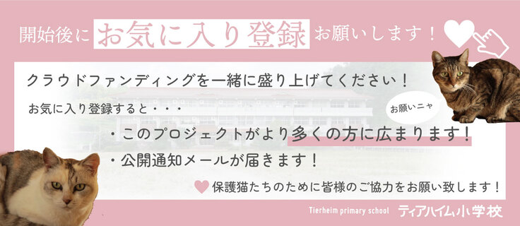 事前お気に入り登録をお願いします！