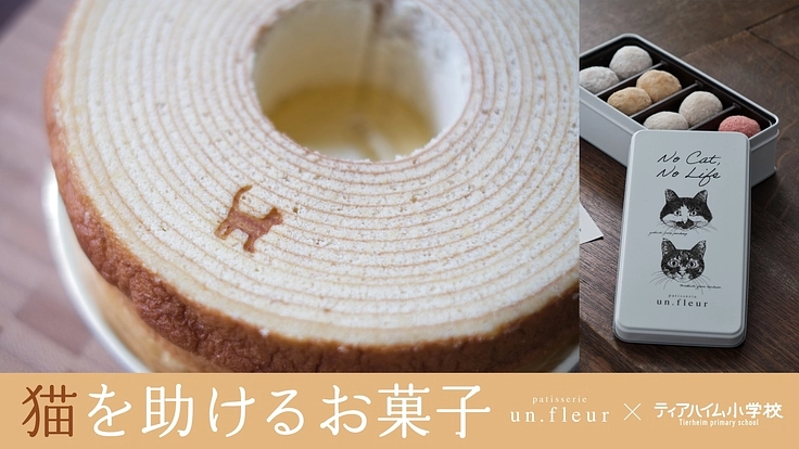 猫を助けるお菓子