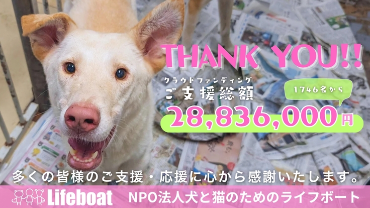 クラファン開始当日 (Twitter投稿)のコピー (1472 x 828 px)_20250426_134005_0000.jpg