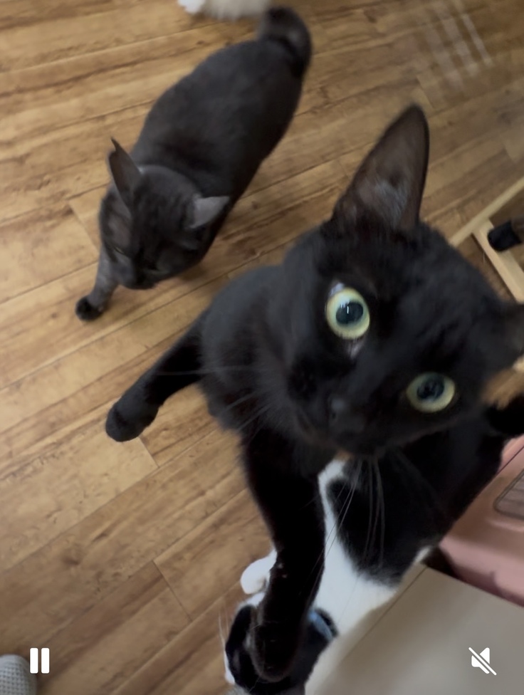 天草から来てくれた春・夏・秋・冬ちゃん達