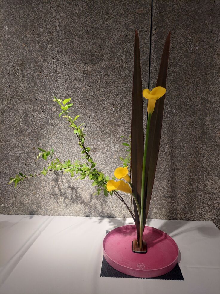 後期第１位　中村　泰治様