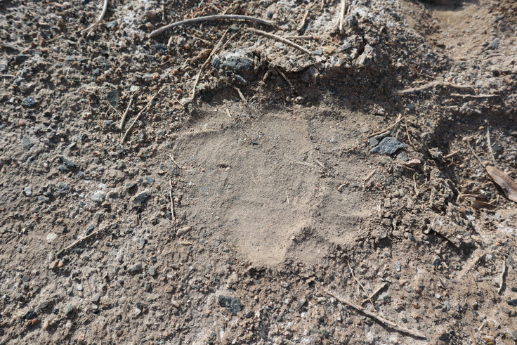 IMG_4276 (1)のコピー.JPG