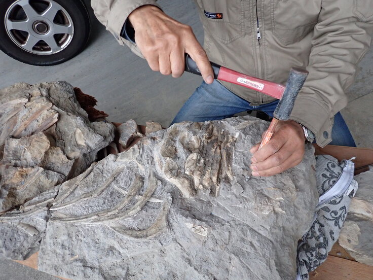 クリーニング作業