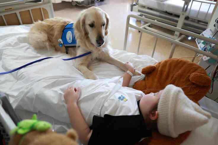 入院中の子ども達に静かに寄り添い、温かな存在感で励まします