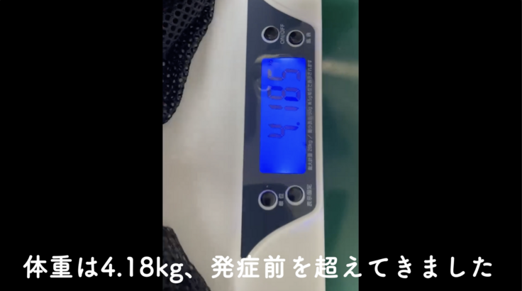 4.18kgを示す体重計
