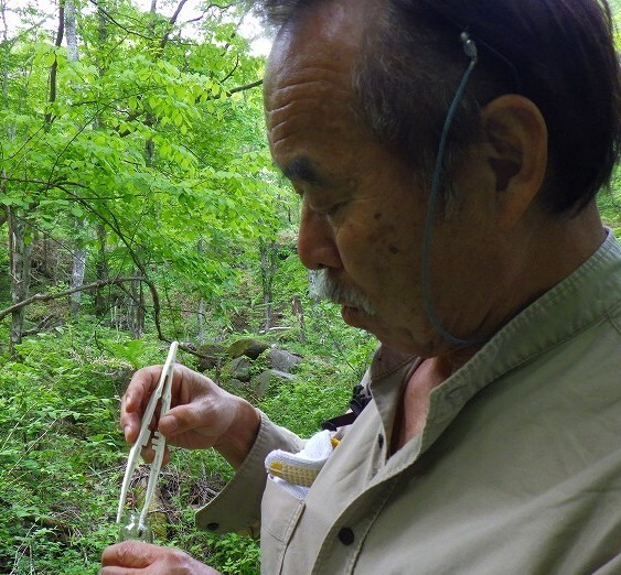 発見！ヤマネのうんち