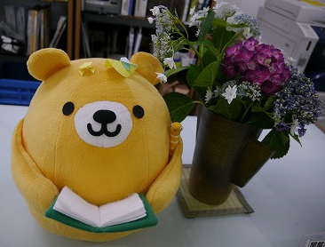 アジサイとくまぽん