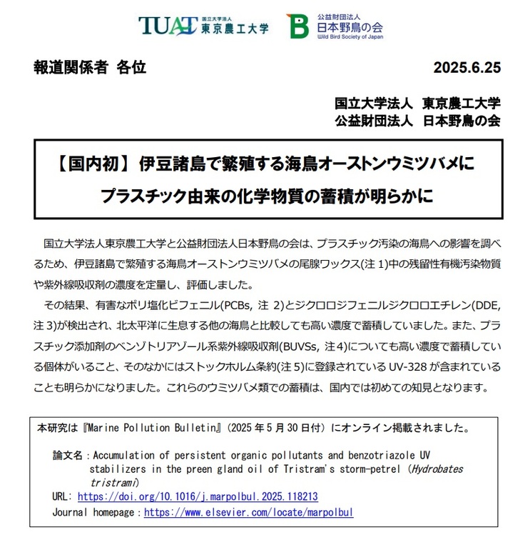 プレスリリース:【国内初】伊豆諸島で繁殖する海鳥オーストンウミツバメにプラスチック由来の化学物質の蓄積が明らかに