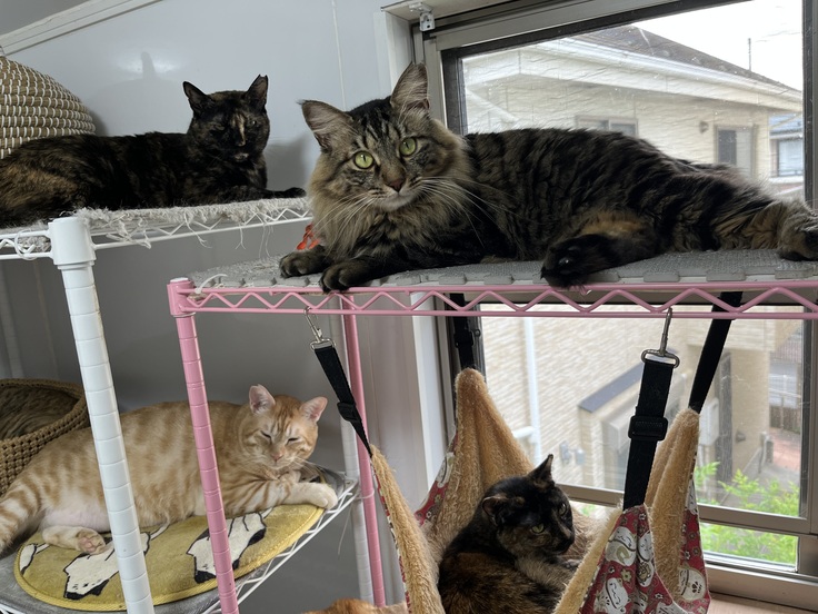 療養ルームメンバー