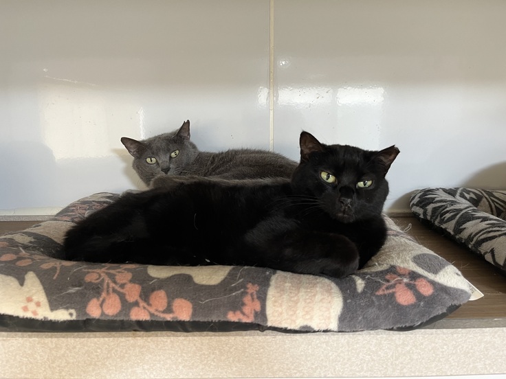 仲良し親子のプルかーさんとタラソワ