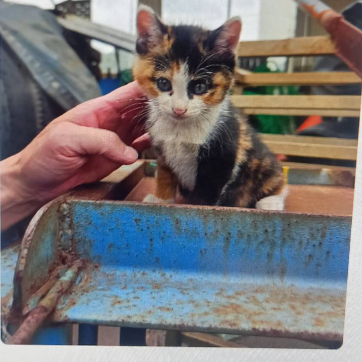 名称未設定のデザイン (1).png