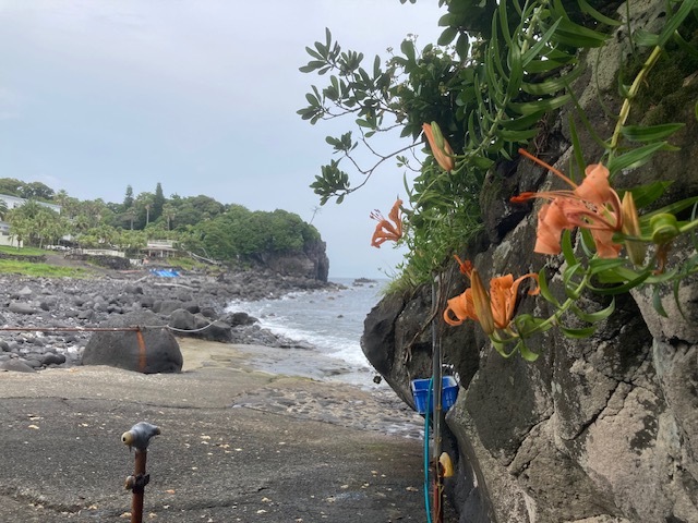 伊豆海洋公園エントリー口
