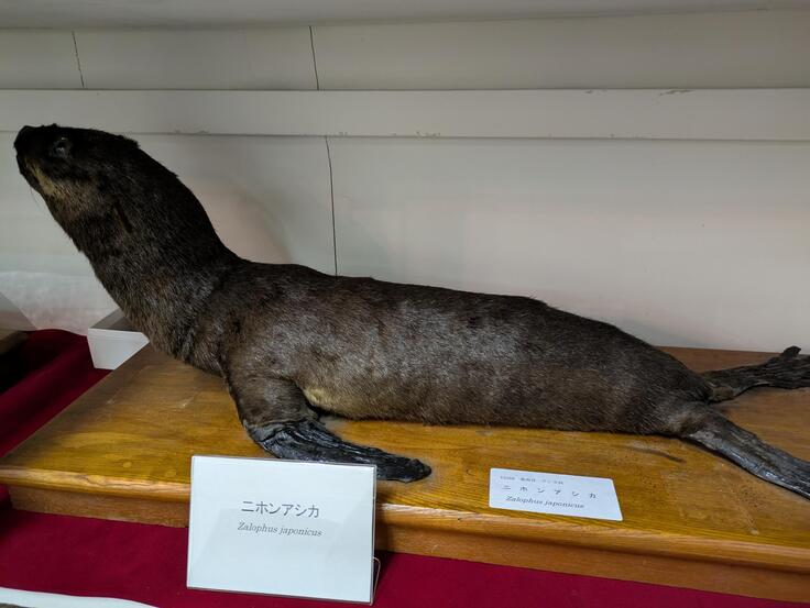 メディア (22).jpeg