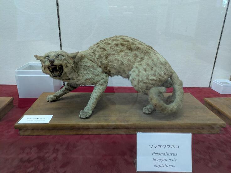 メディア (19).jpeg