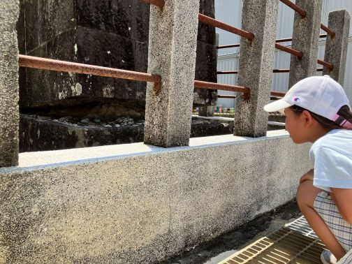 Image (23)サイズ.jpg