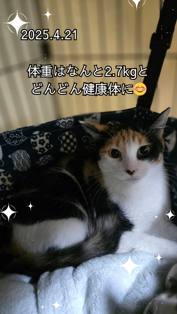 ティンクちゃん③