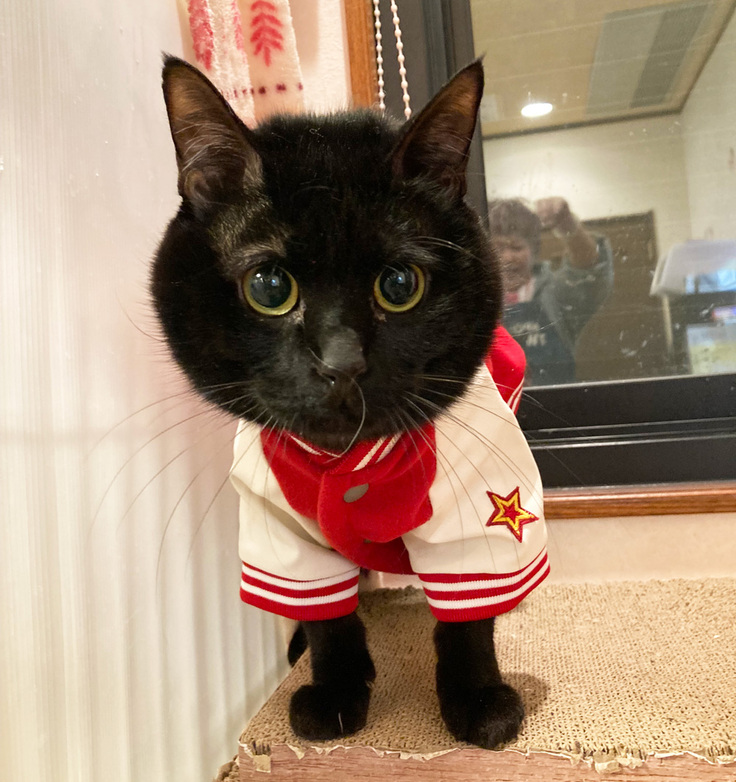 かわいい服着てる