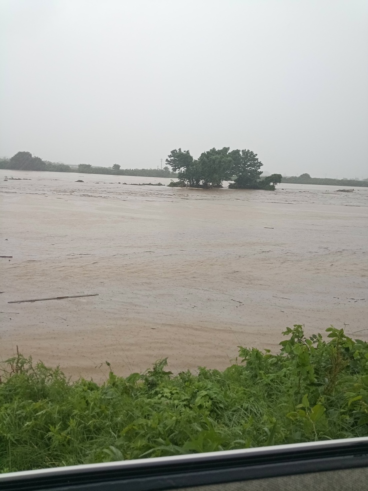 昨年7/25の降水当時の写真です