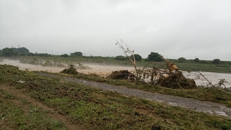 昨年7/25の降水の翌日