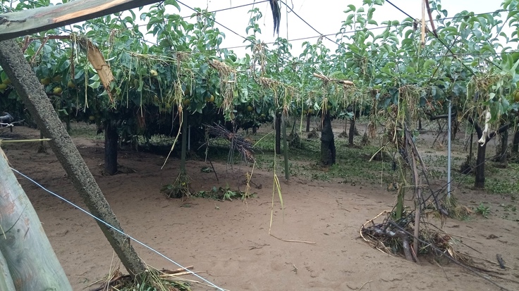 昨年7/25の降水後　現状把握した際です