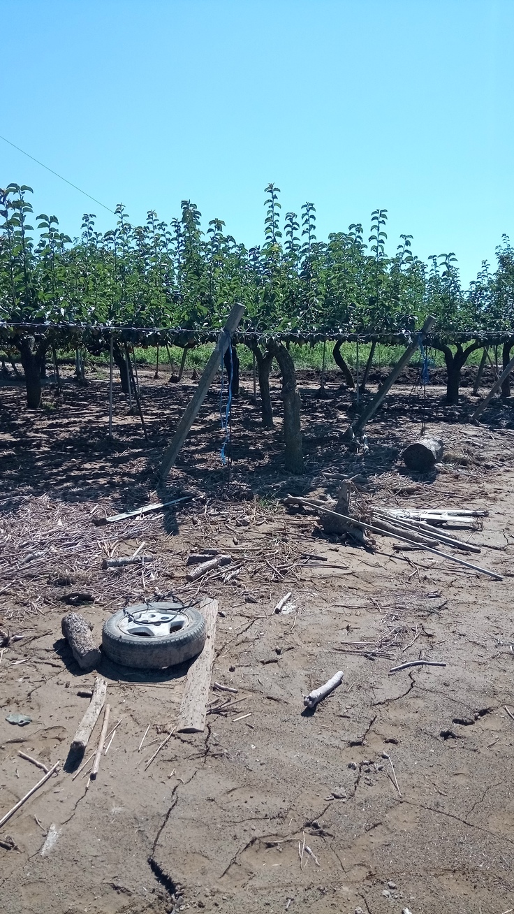 漂着物がたくさんありました