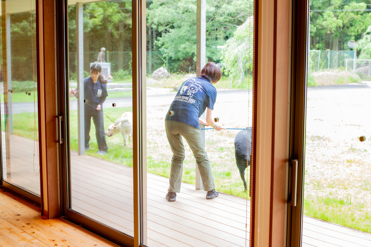 防災訓練の様子。木香テラス外の柱へ犬たちを係留している職員の写真。