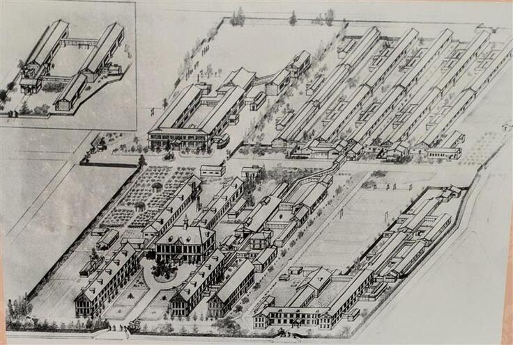 shared image (4).jpeg