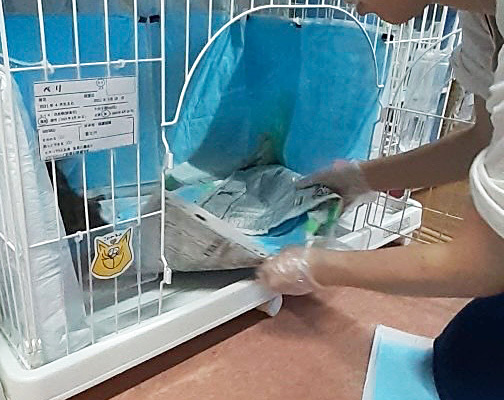 ケージのおそうじ