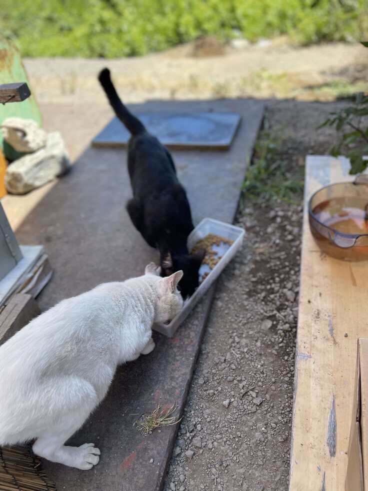 523924077_1916489265858714_4582863692371421640_n (1).jpg