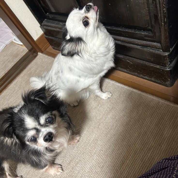 83480 - コピー.jpg