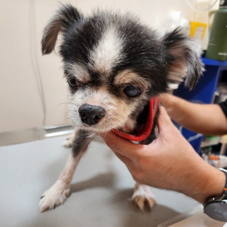 1000016432 - コピー.jpg