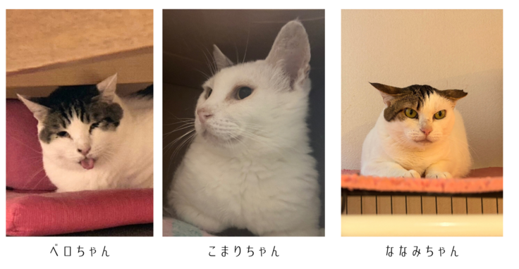 活動報告サムネのコピー (1200 x 675 px) (1300 x 675 px).png