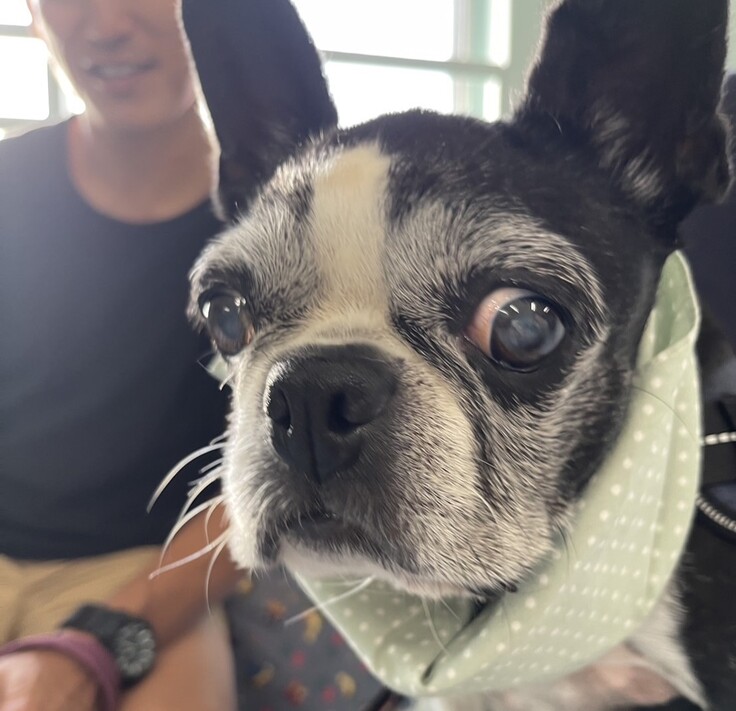 S__39370811_0 - コピー.jpg