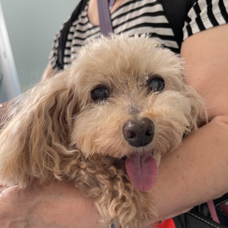 S__39370833_0 - コピー.jpg