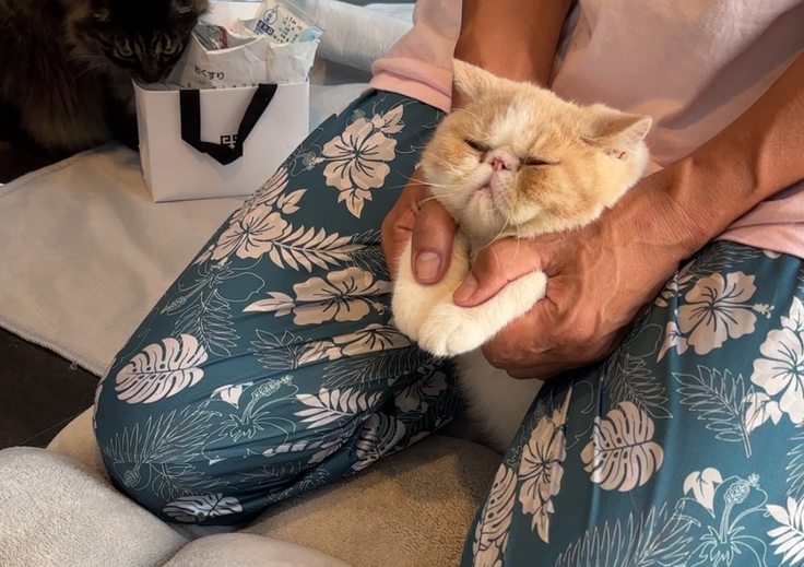 薬タイムのわさび