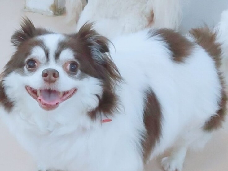 Collage-2021-02-04-15_03_46 - コピー (2).jpg