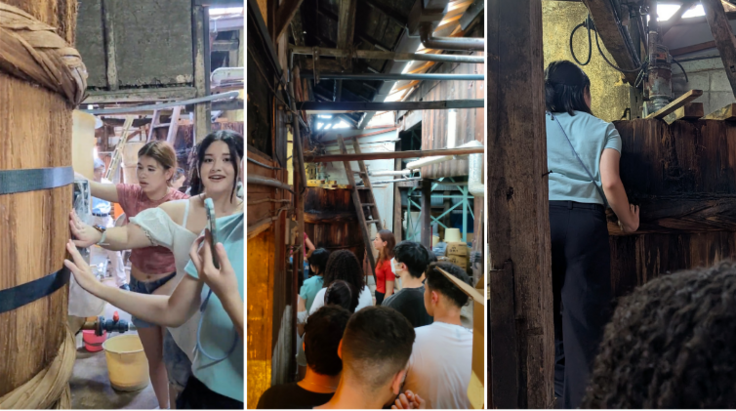 newsletter トップ (6) (1).png