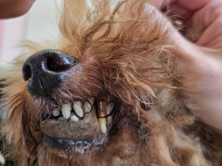 85173_0 - コピー.jpg