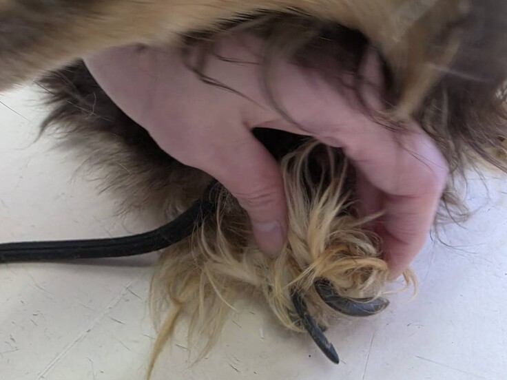 85174_0 - コピー.jpg